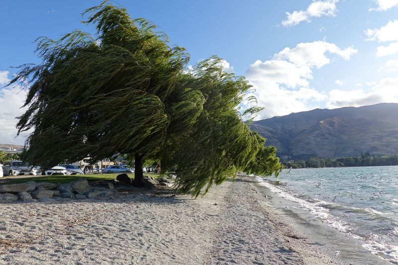 Wanaka