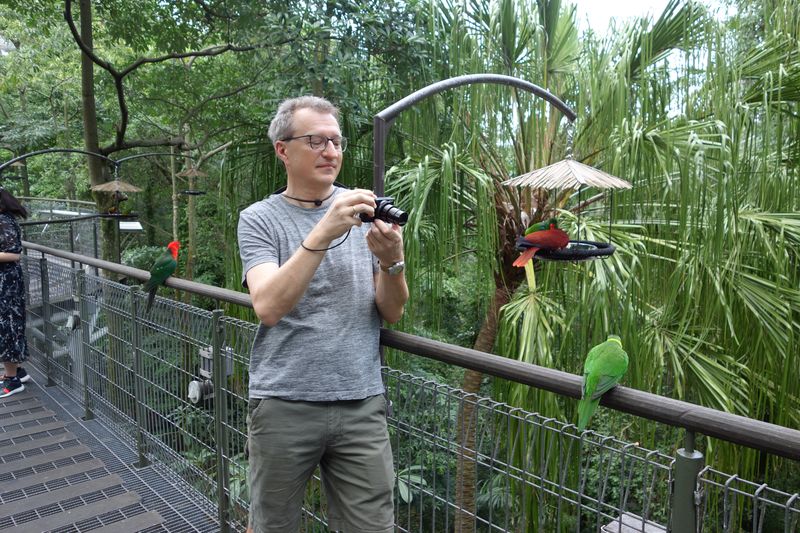 Singapur Jurong-Bird-Park, gefiederte Freunde