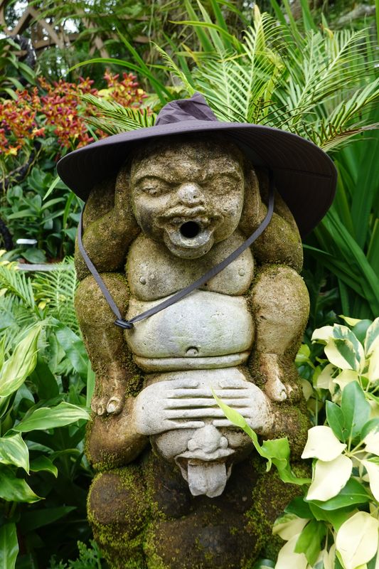 Singapur Botanischer Garten