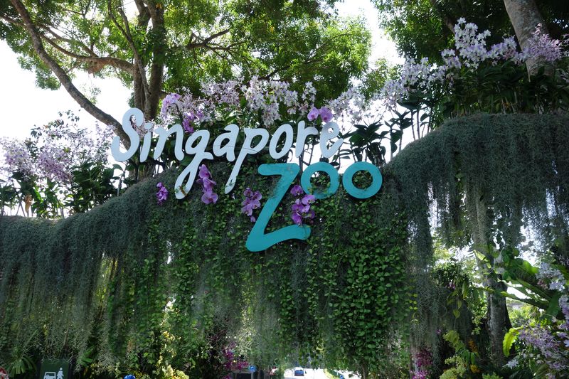 Singapur Zoo