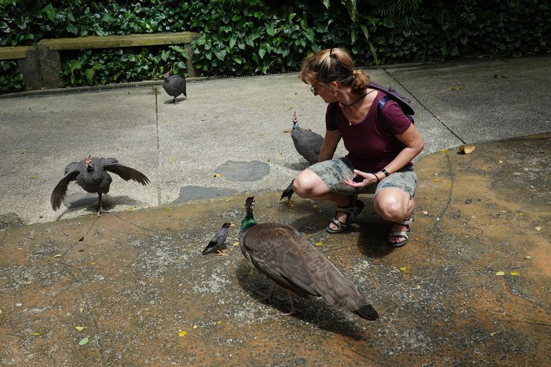 Singapur Jurong-Bird-Park, gefiederte Freunde