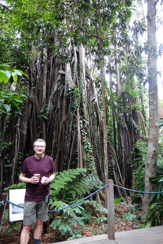 Singapur Botanischer Garten