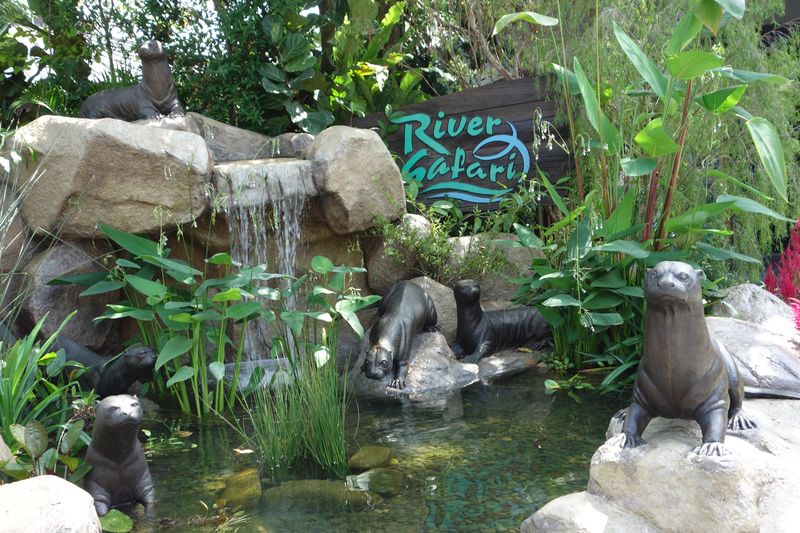 Singapur Zoo, River Safari