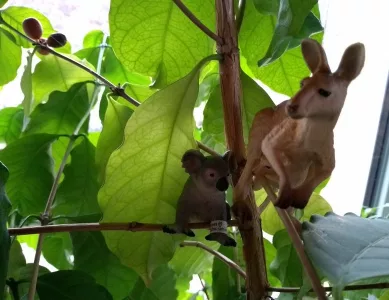 Wie es zu der großen Reise kam