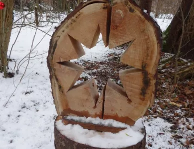 Ein paar Tage entschleunigen