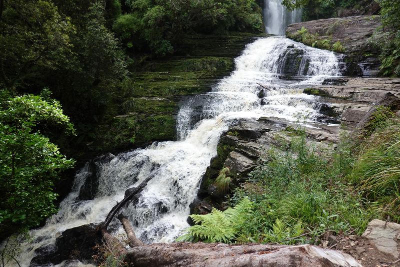 Catlins