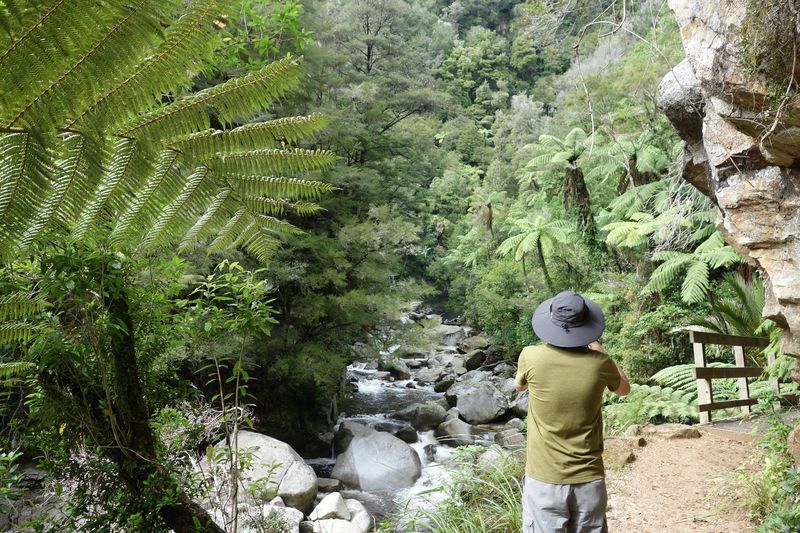 Abel Tasman Nationalpark