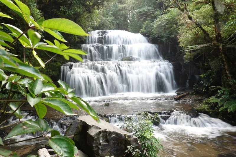 Catlins