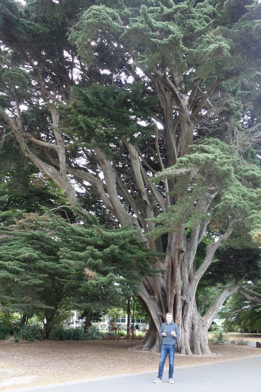 Christchurch