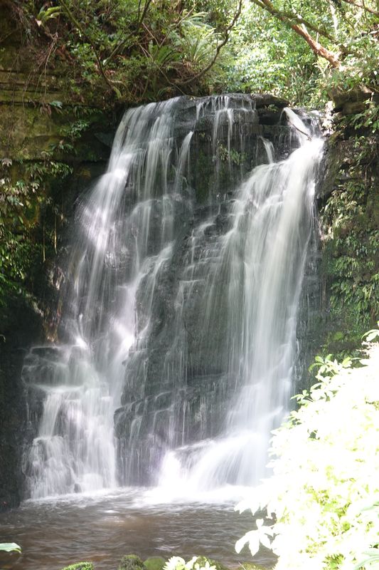 Catlins