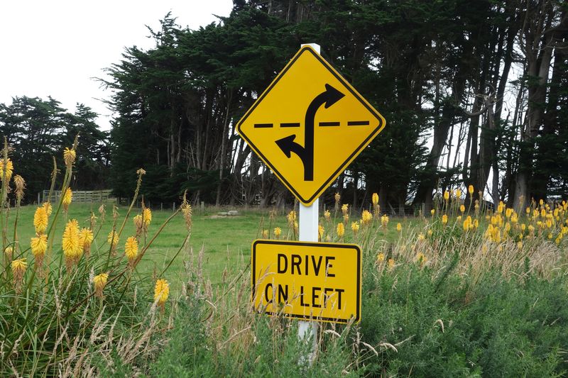 Catlins