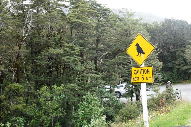 Arthur-Pass