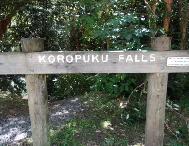 Weiter geht´s durch die fantastischen Catlins