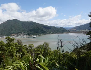 In den Marlborough Sounds