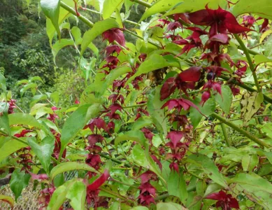 Von Westport zum Abel Tasman National Park
