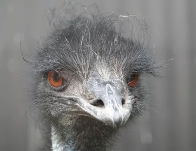 Der letzte Tag in Neuseeland