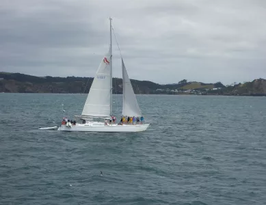 Bootstour mit Delphinen