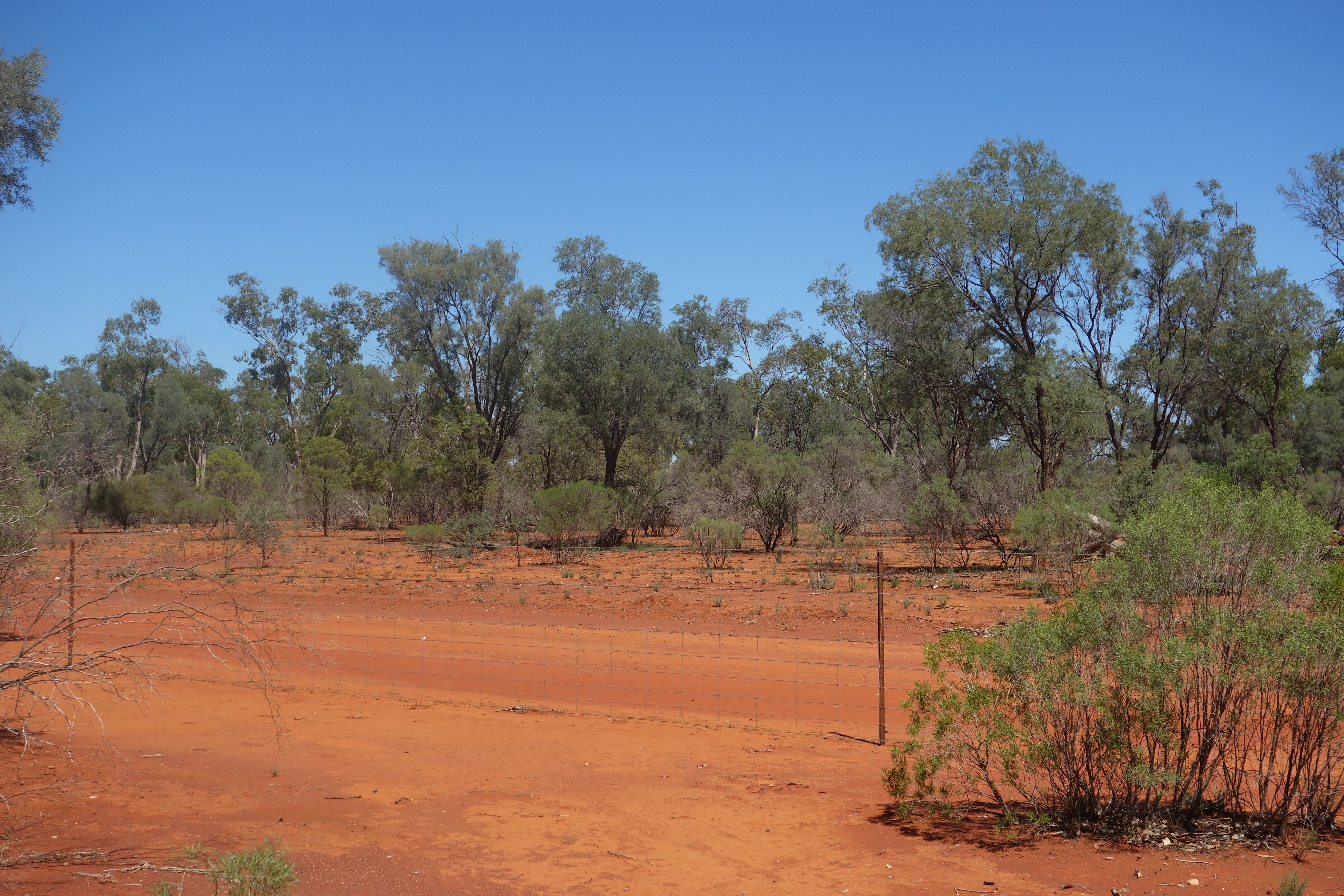 Abschied von Australien