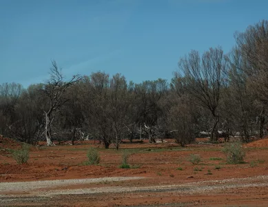 Zurück Richtung Osten