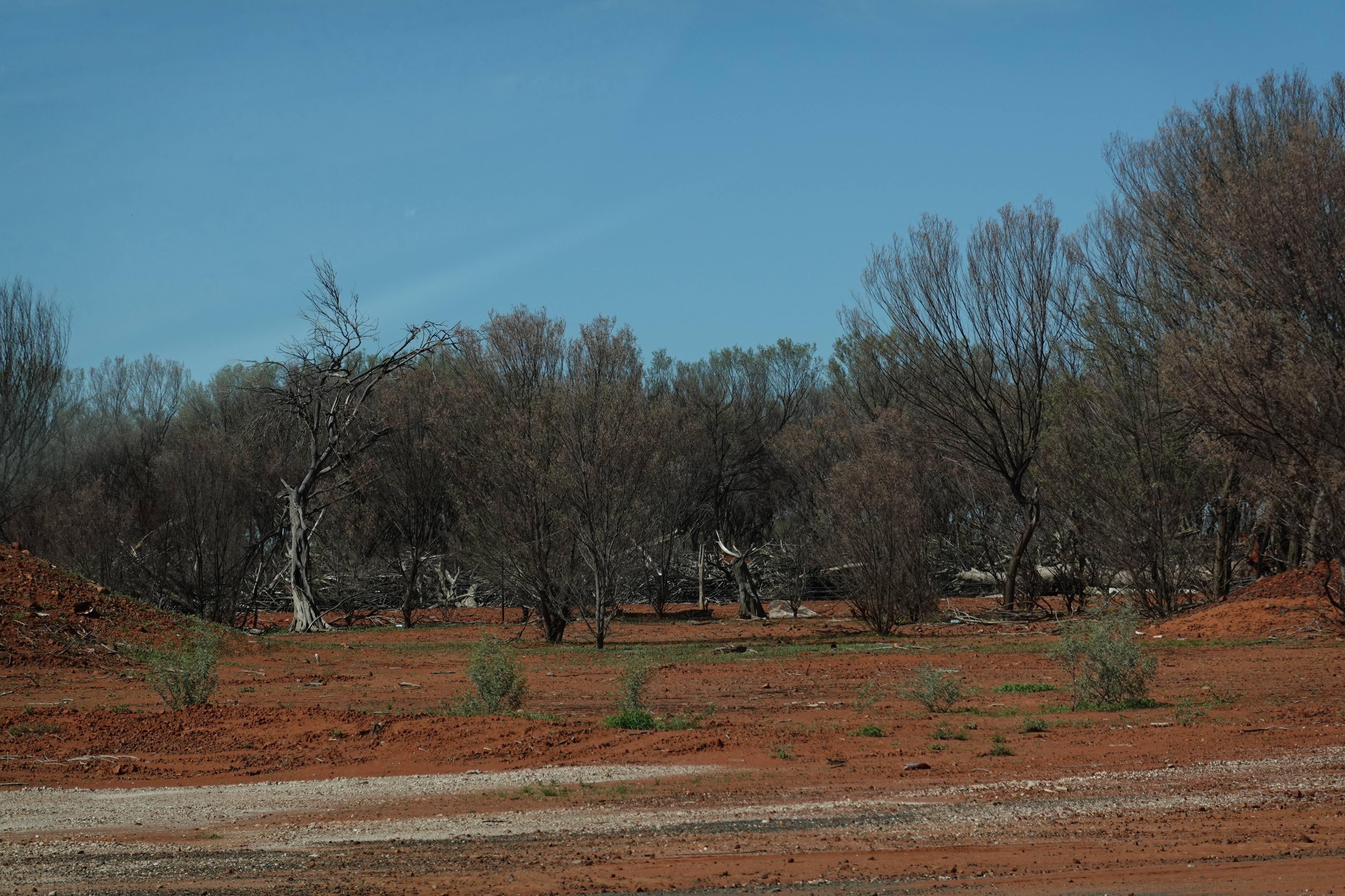 Zurück Richtung Osten
