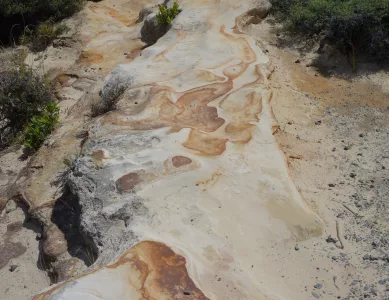 Zurück in den Süden