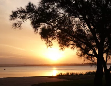 Jetzt geht´s wieder Richtung Sydney