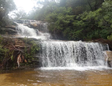 Fahrt in die Blue Mountains