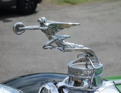 Coromandel Peninsula