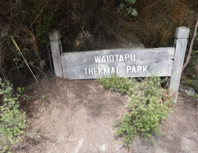 Auf dem Weg nach Rotorua