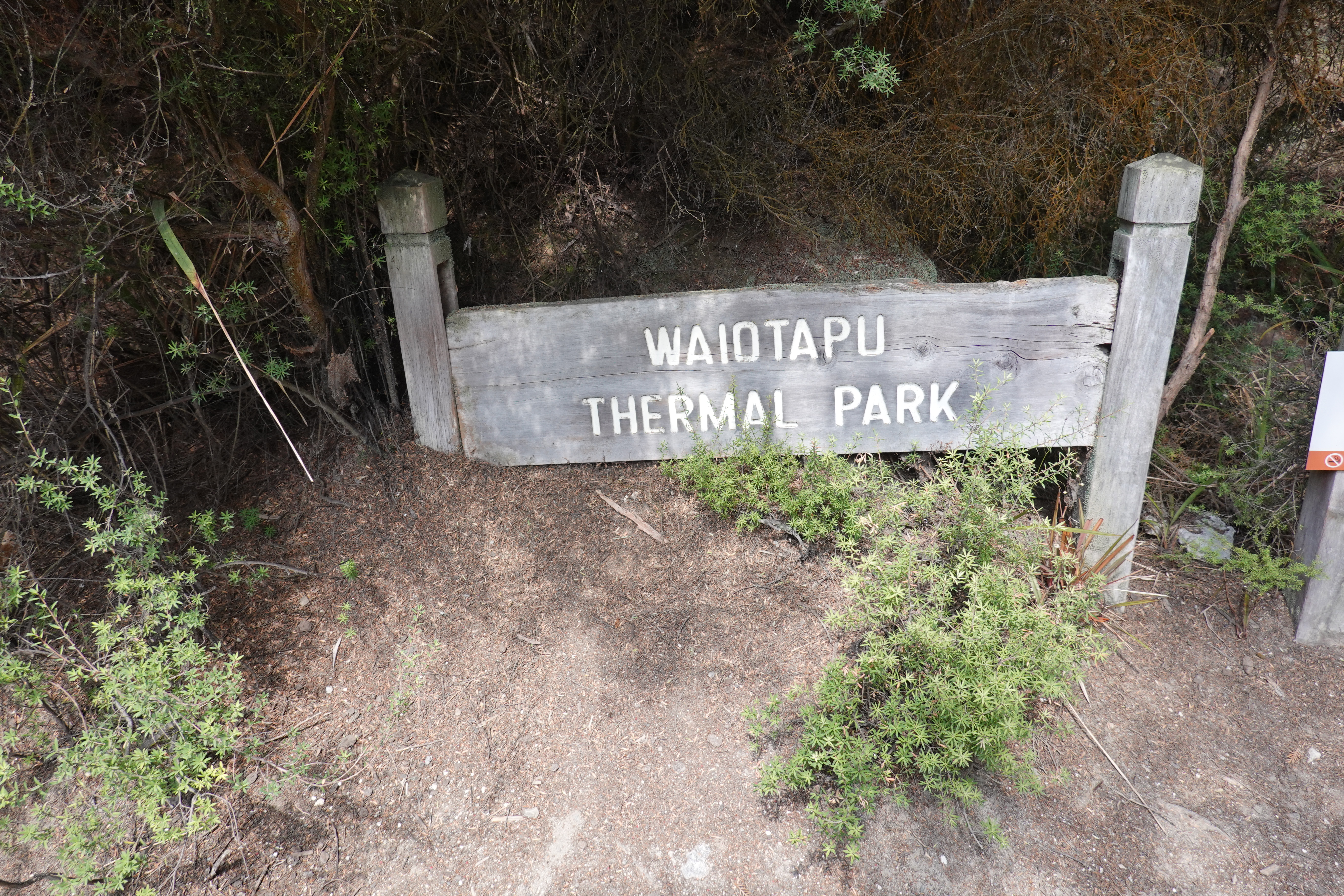 Auf dem Weg nach Rotorua