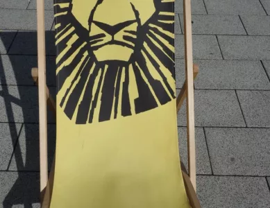 Zu Gast bei den Löwen