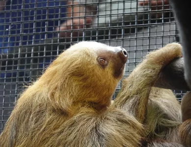 Mit 40 zum Wasserfall