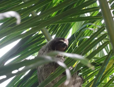 Von 0 auf 350 in 4,5 Stunden