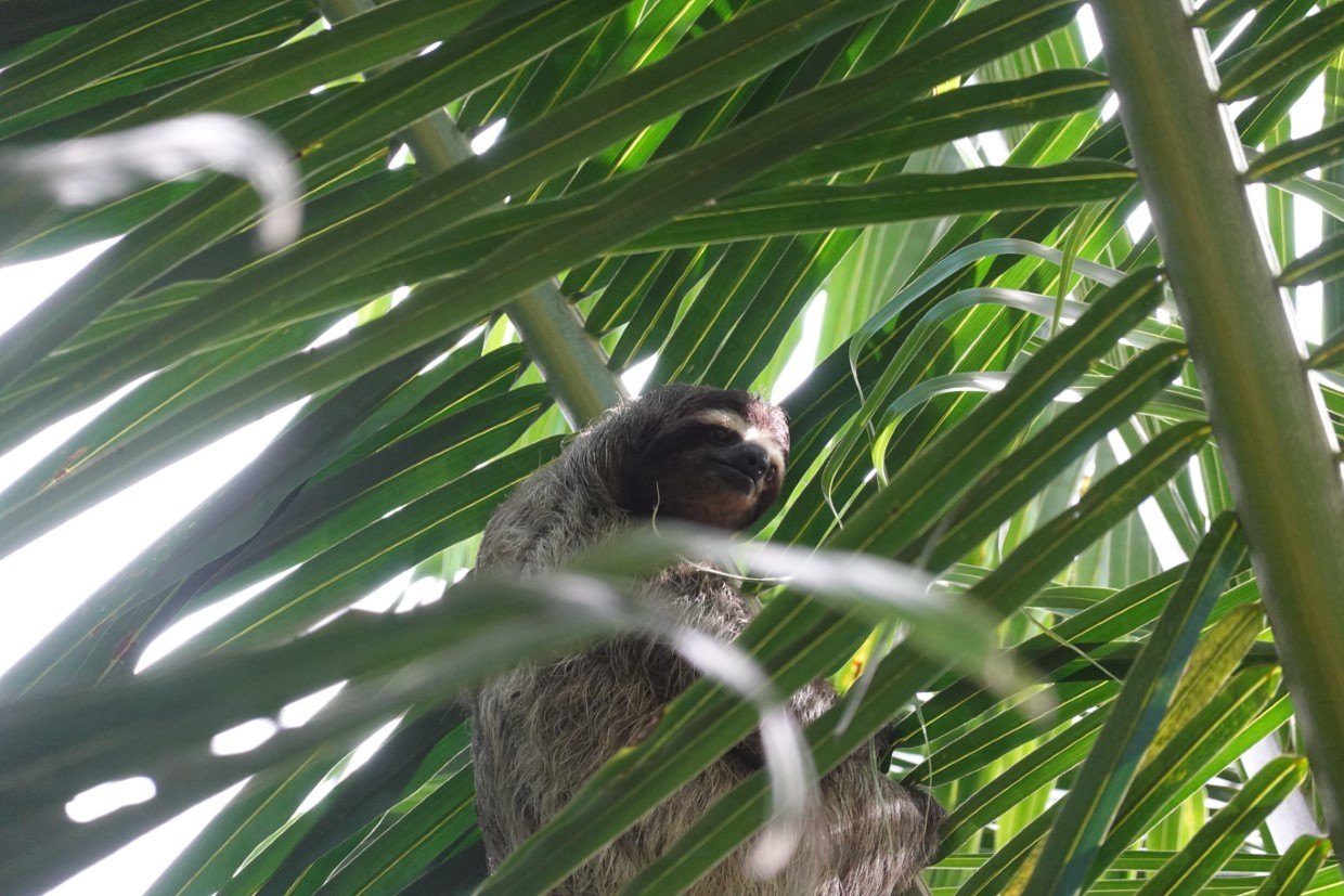 Von 0 auf 350 in 4,5 Stunden