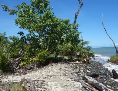 Nass vom Scheitel bis zur Sohle