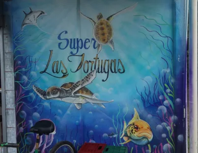 Tortugero (Schildkröte)