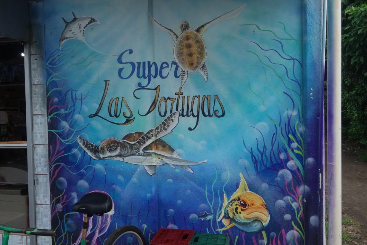 Tortugero (Schildkröte)