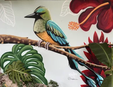 Ein Traumtag in Costa Rica