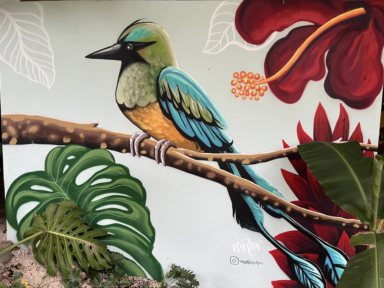 Ein Traumtag in Costa Rica