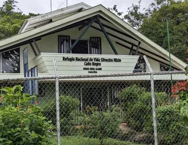 Dinos an Land, im Wasser und in der Luft