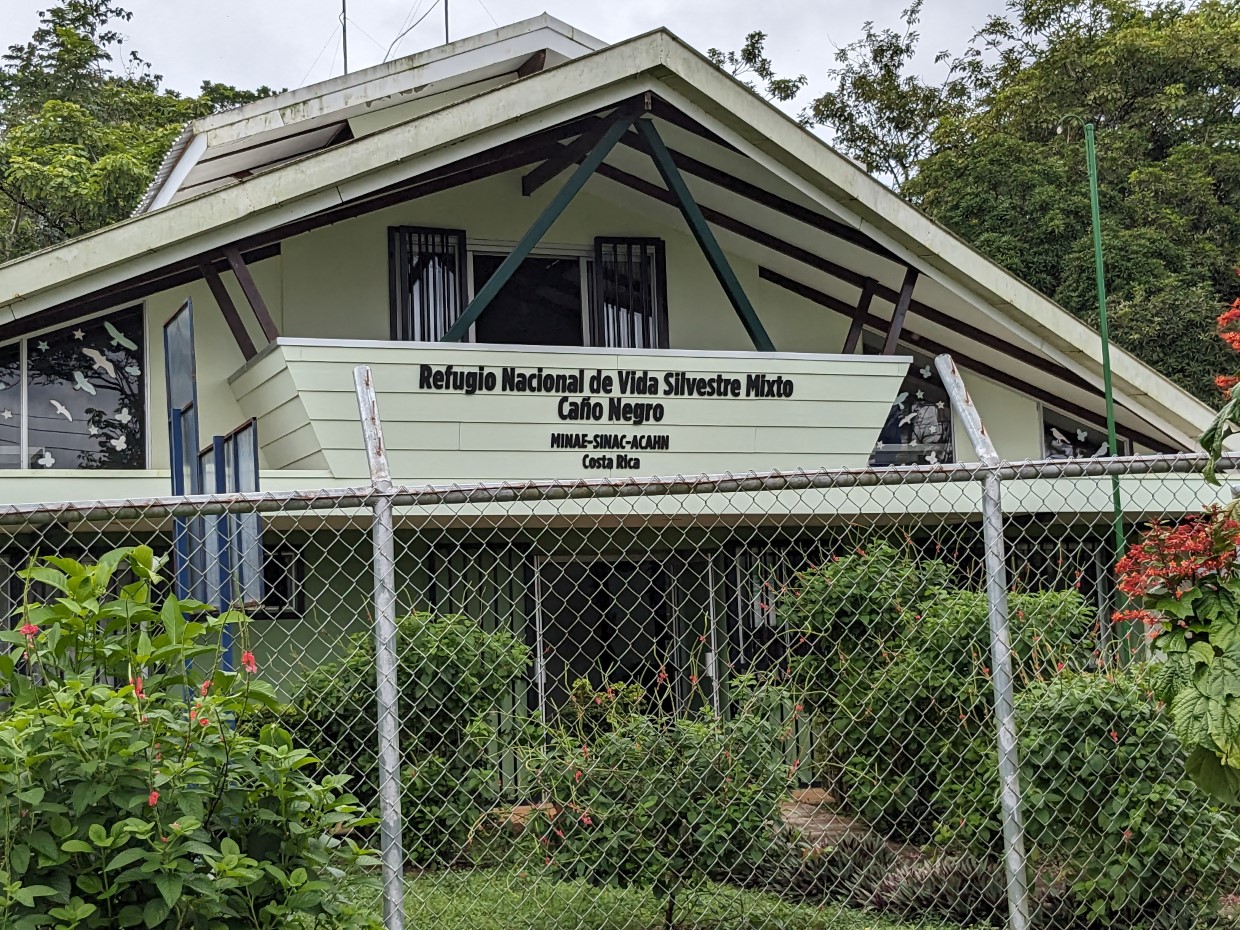 Dinos an Land, im Wasser und in der Luft