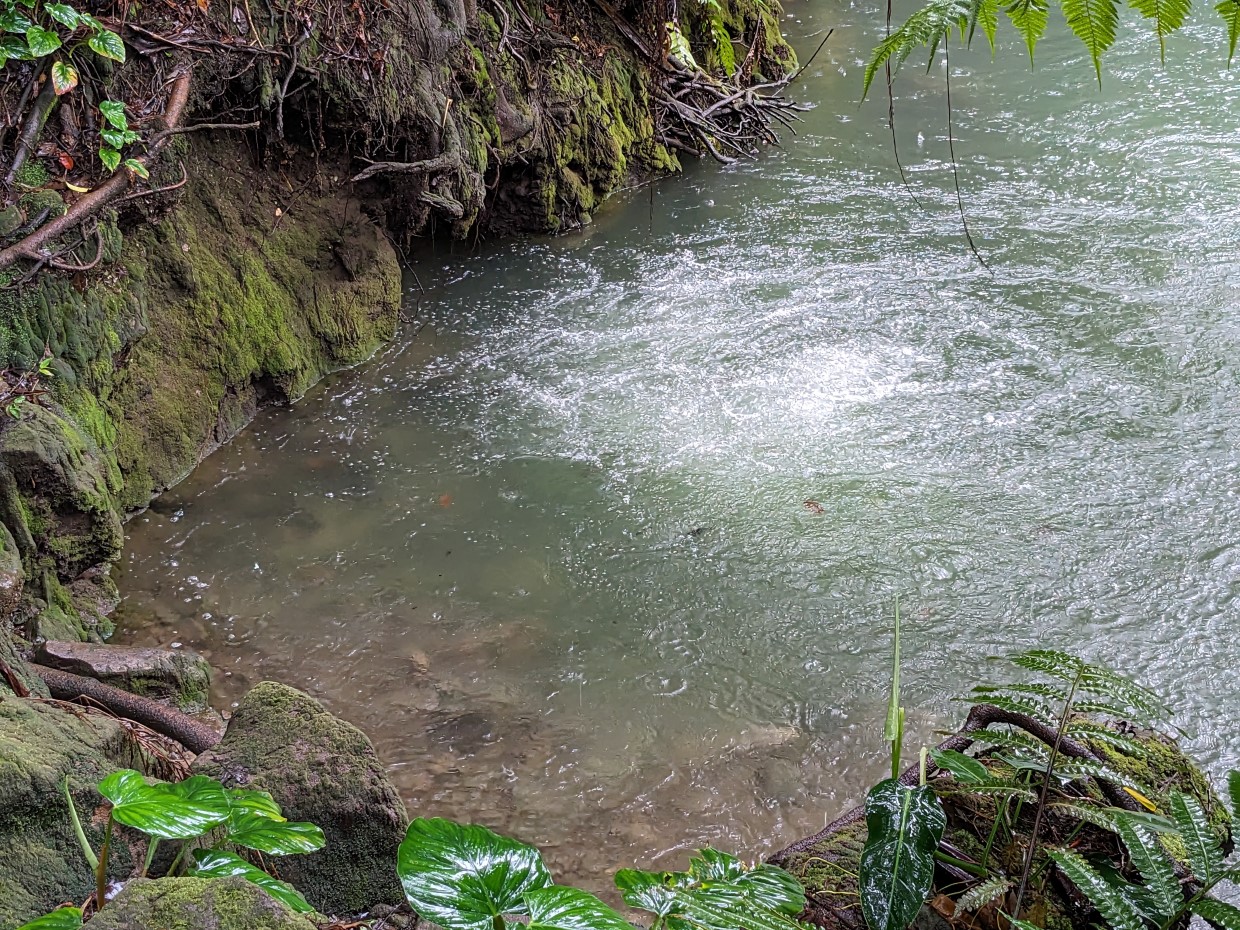 Rio Celeste
