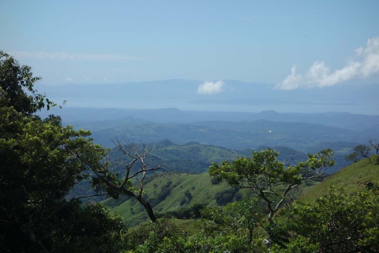 Monteverde