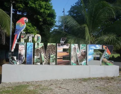 Drei auf einen Schlag