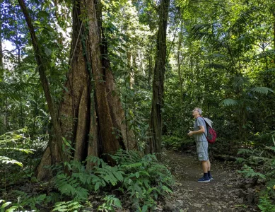 Auf der Suche nach Herrn Nilson