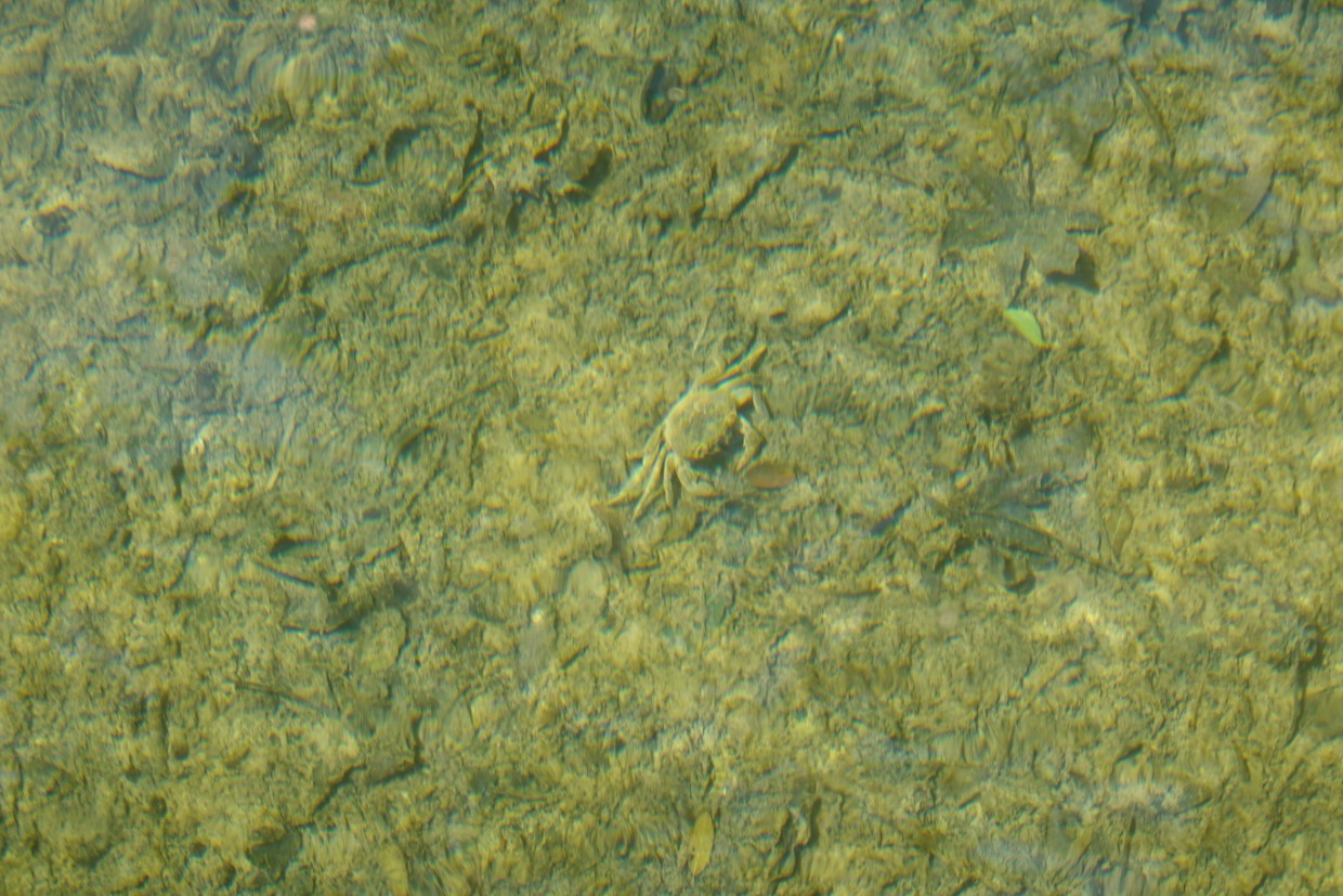 Rhodos Wanderung Schmetterlingstal