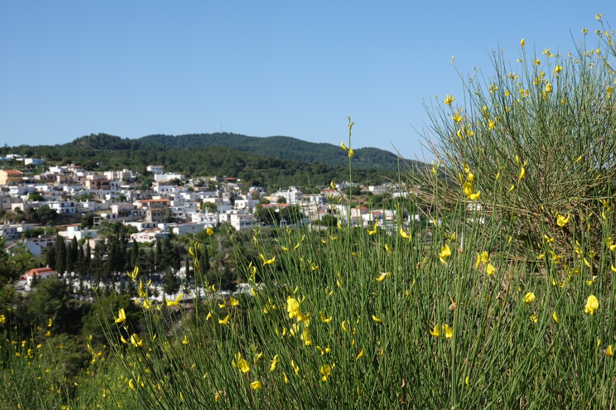 Rhodos Westküste