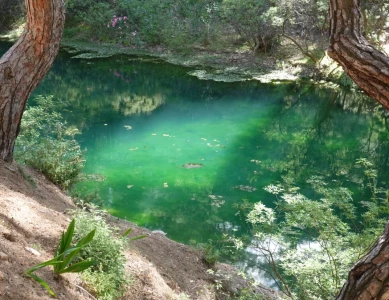 Zwischen Süß- und Salzwasser