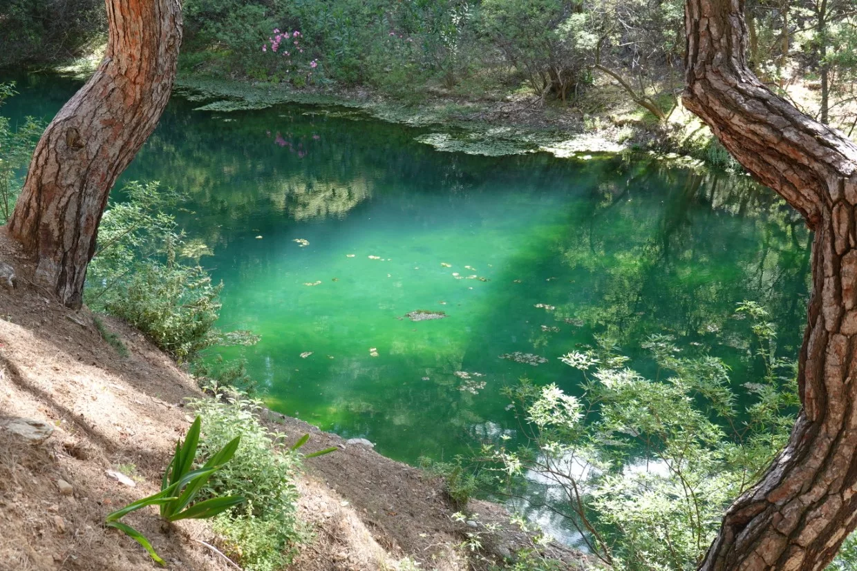 Zwischen Süß- und Salzwasser