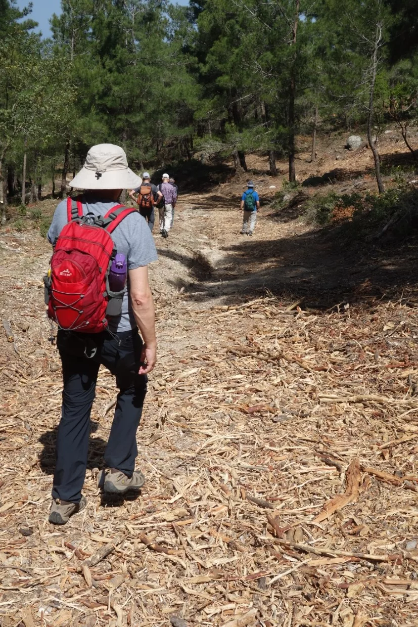 Rhodos Wanderung Wald